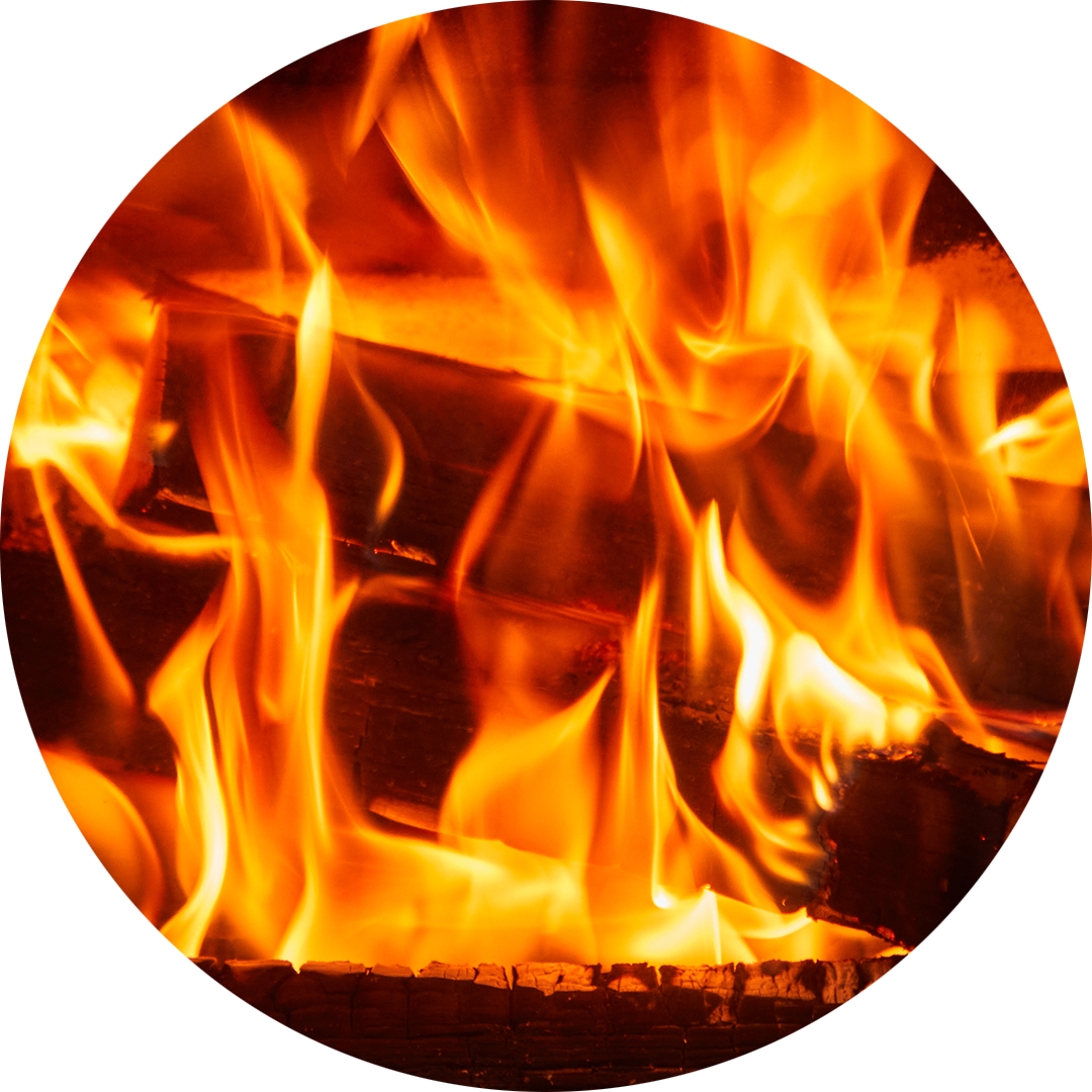 Are Kiln-Dried Logs Worth the Extra Cost?